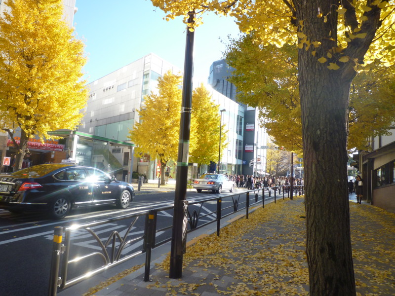 f:id:sasameyuki47:20111213132606j:image:w360 f:id:sasameyuki47:20111213132606j:image:w360