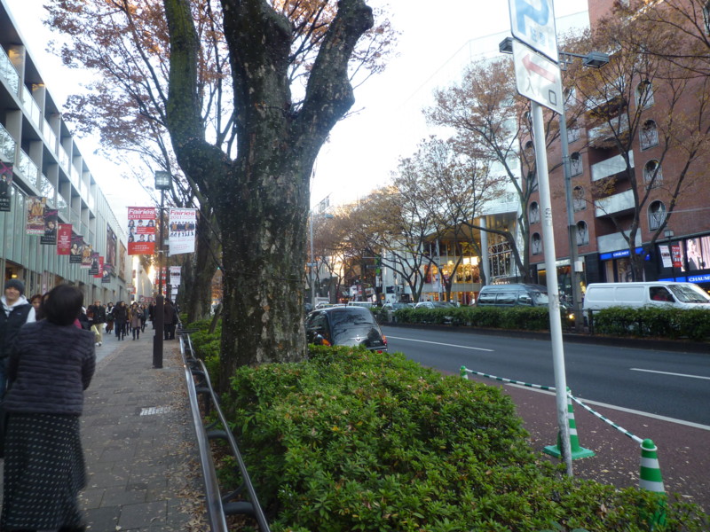 f:id:sasameyuki47:20111213152814j:image:w360 f:id:sasameyuki47:20111213152814j:image:w360