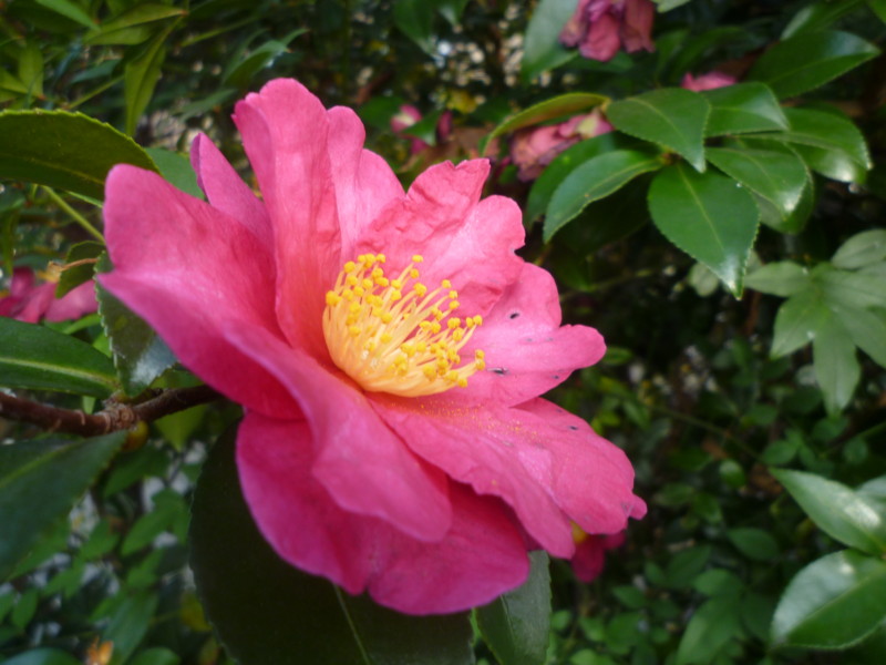 f:id:sasameyuki47:20111225134015j:image:w360 f:id:sasameyuki47:20111225134015j:image:w360