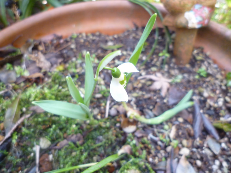 f:id:sasameyuki47:20120224104938j:image:w360 f:id:sasameyuki47:20120224104938j:image:w360