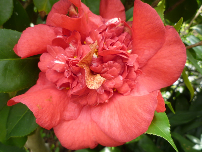 f:id:sasameyuki47:20120421111657j:image:w360 f:id:sasameyuki47:20120421111657j:image:w360