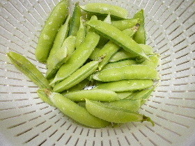 f:id:sasameyuki47:20120421154219j:image:right f:id:sasameyuki47:20120421154219j:image:right