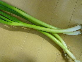 f:id:sasameyuki47:20120421161407j:image:left f:id:sasameyuki47:20120421161407j:image:left