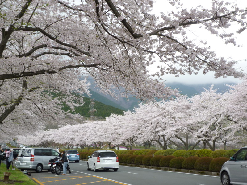 f:id:sasameyuki47:20120424113841j:image:w360:right f:id:sasameyuki47:20120424113841j:image:w360:right