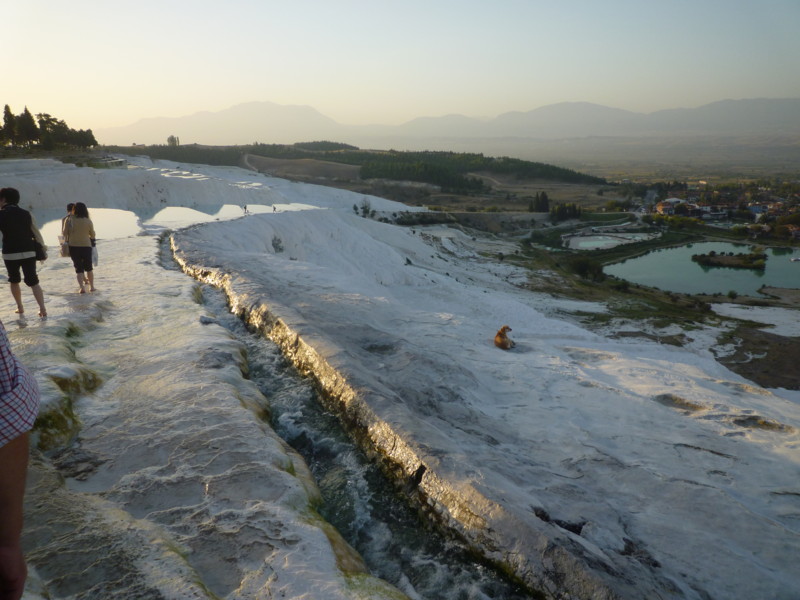 f:id:sasameyuki47:20121018133250j:image:w360