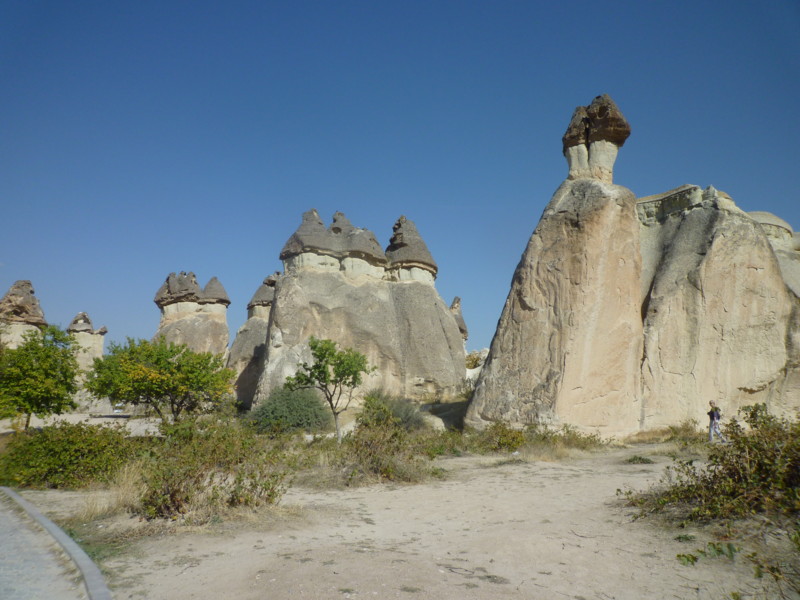 f:id:sasameyuki47:20121019182355j:image:w360 f:id:sasameyuki47:20121019182355j:image:w360