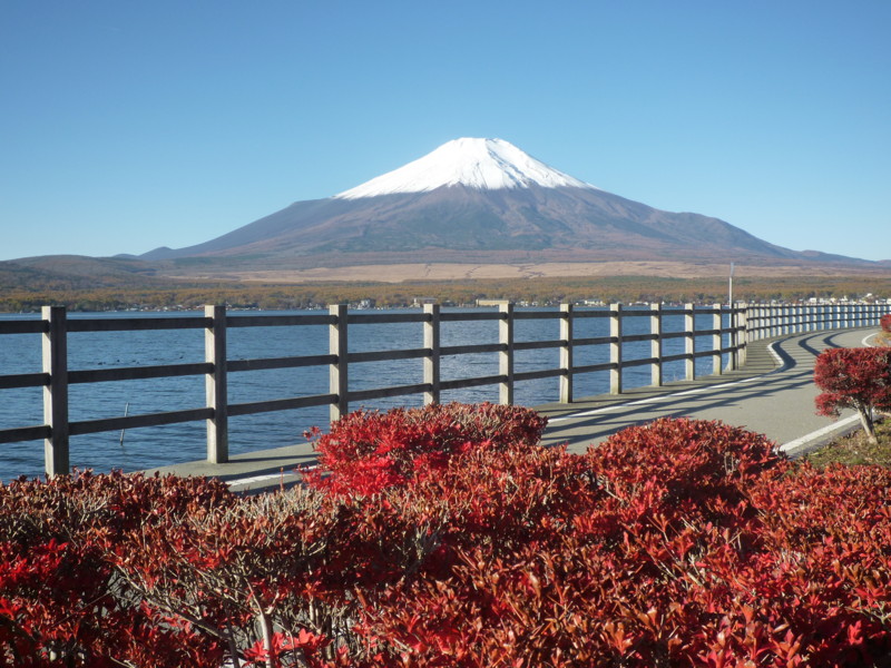 f:id:sasameyuki47:20121108073300j:image:w360 f:id:sasameyuki47:20121108073300j:image:w360