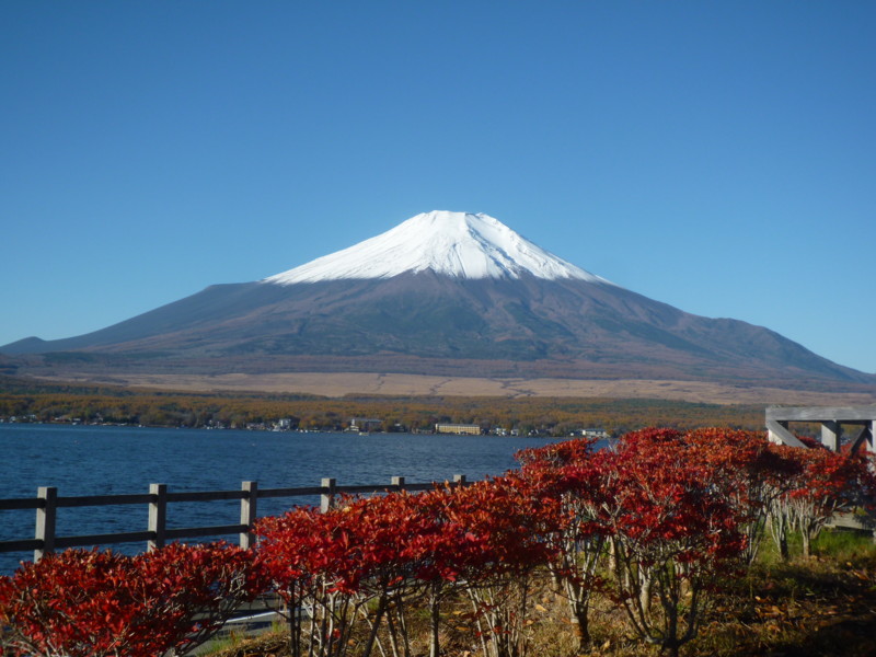 f:id:sasameyuki47:20121108073919j:image:w640 f:id:sasameyuki47:20121108073919j:image:w640