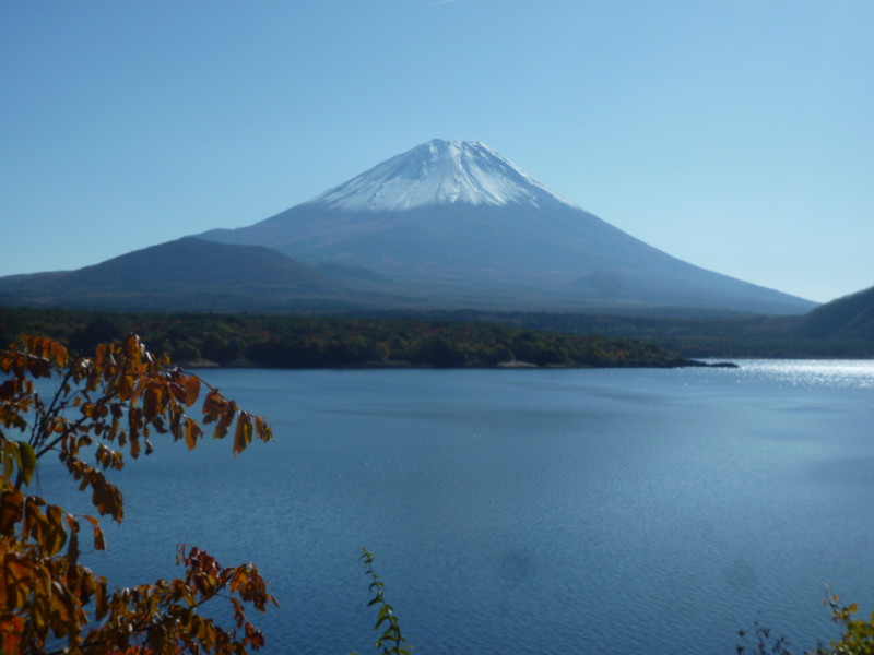 f:id:sasameyuki47:20121108095327j:image:w360 f:id:sasameyuki47:20121108095327j:image:w360