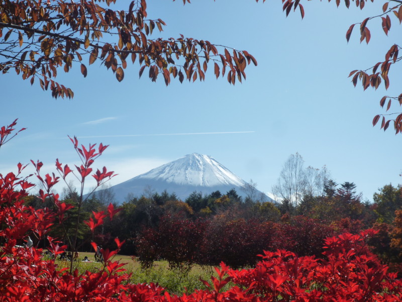 f:id:sasameyuki47:20121108105016j:image:w640 f:id:sasameyuki47:20121108105016j:image:w640