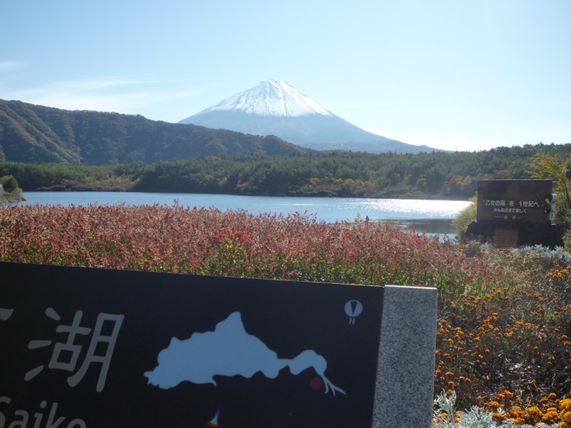 f:id:sasameyuki47:20121108105649j:image:w360 f:id:sasameyuki47:20121108105649j:image:w360