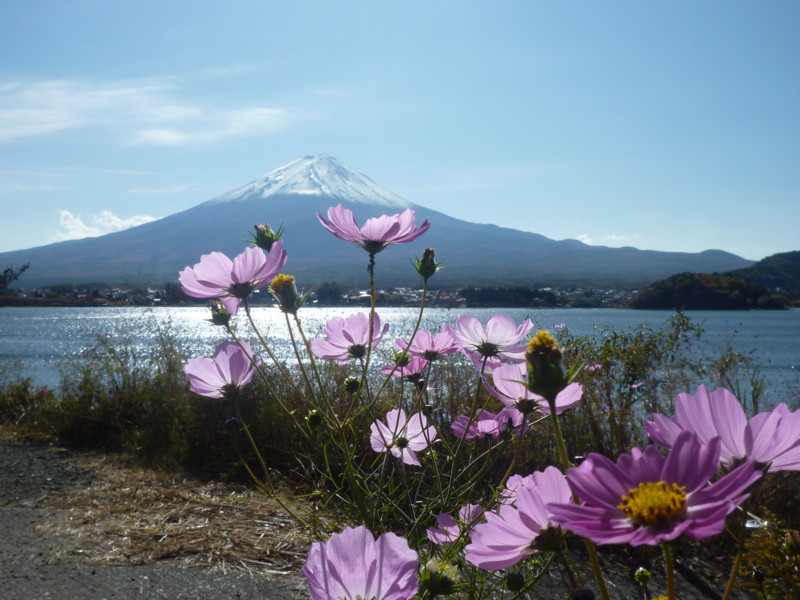 f:id:sasameyuki47:20121108112850j:image:w640 f:id:sasameyuki47:20121108112850j:image:w640