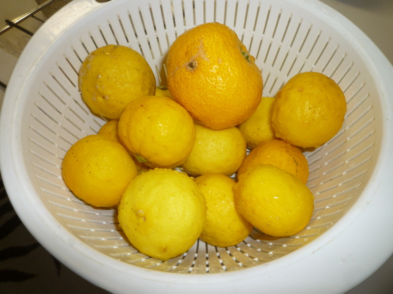 f:id:sasameyuki47:20121221190203j:image:w360