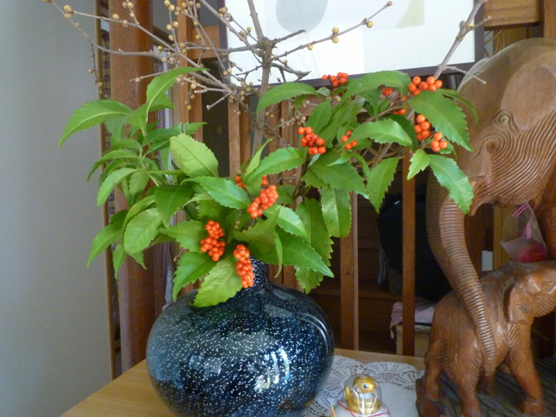 f:id:sasameyuki47:20130111114404j:image:w360 f:id:sasameyuki47:20130111114404j:image:w360