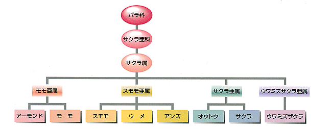 f:id:sasameyuki47:20130212145253g:image