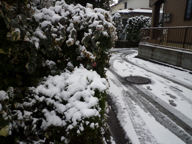 f:id:sasameyuki47:20130220070120j:image:w360 f:id:sasameyuki47:20130220070120j:image:w360