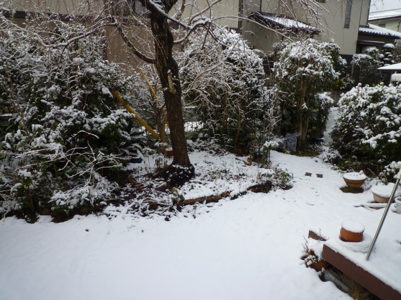 f:id:sasameyuki47:20130220091837j:image:w360 f:id:sasameyuki47:20130220091837j:image:w360