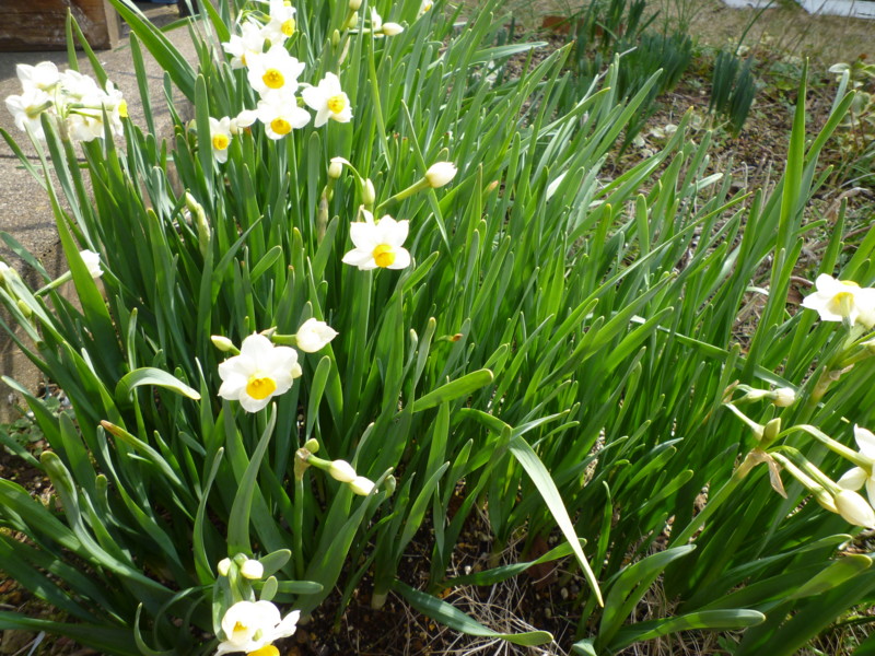 f:id:sasameyuki47:20130303093005j:image:w360 f:id:sasameyuki47:20130303093005j:image:w360