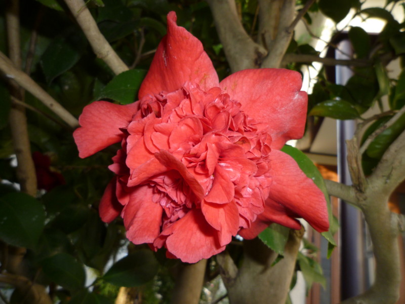 f:id:sasameyuki47:20130321154349j:image:w360 f:id:sasameyuki47:20130321154349j:image:w360