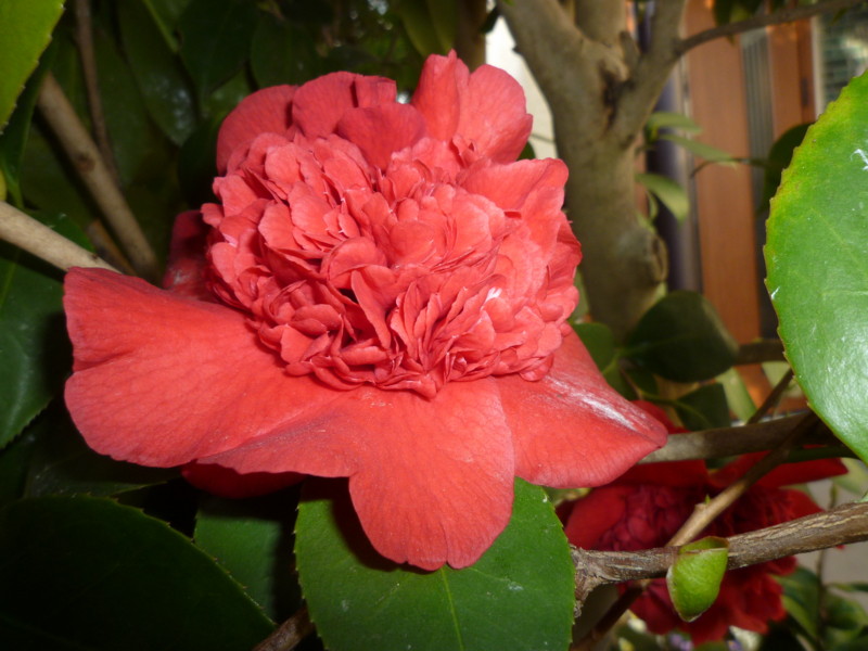 f:id:sasameyuki47:20130321154405j:image:w360 f:id:sasameyuki47:20130321154405j:image:w360