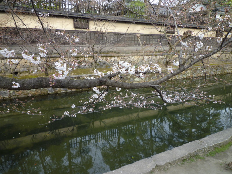 f:id:sasameyuki47:20130326155646j:image:w360