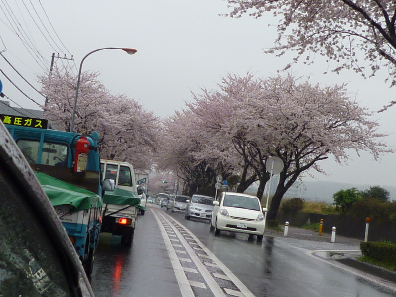 f:id:sasameyuki47:20130402094722j:image:w360