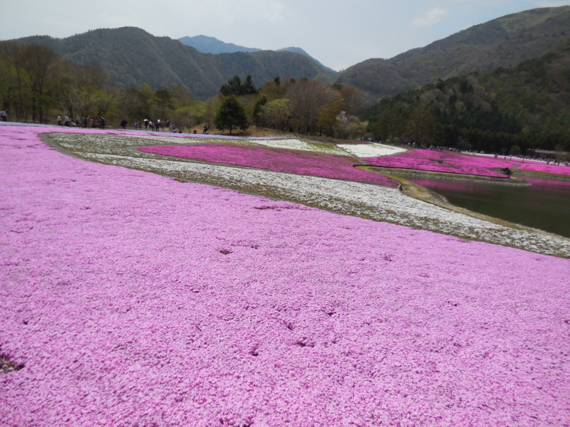 f:id:sasameyuki47:20130429123145j:image:w360 f:id:sasameyuki47:20130429123145j:image:w360