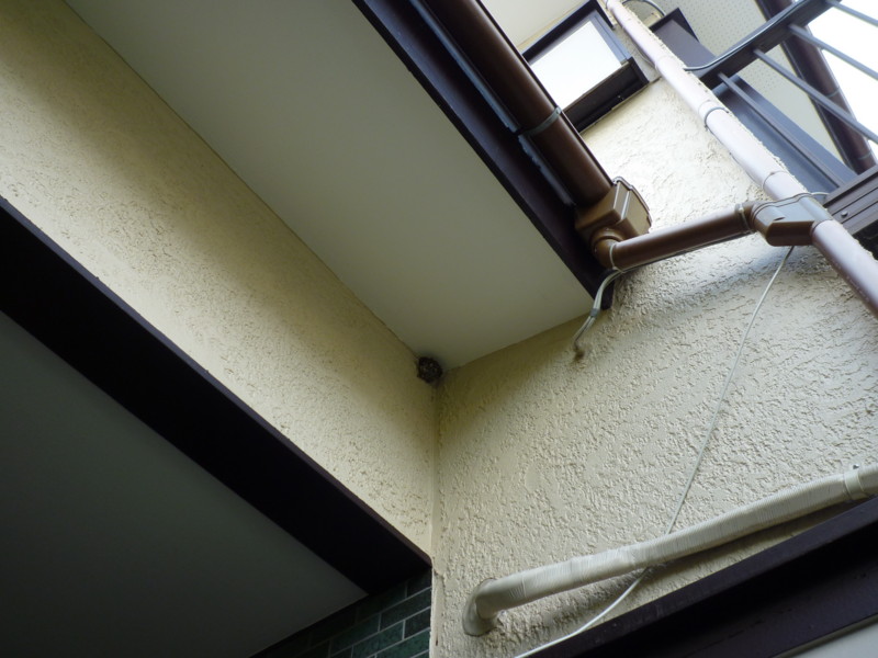 f:id:sasameyuki47:20130708074133j:image:w360 f:id:sasameyuki47:20130708074133j:image:w360