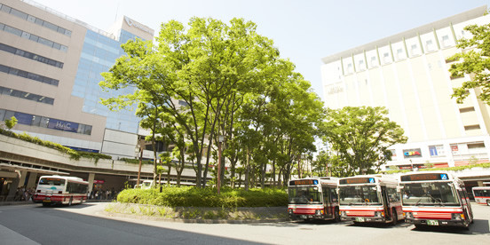 f:id:sasameyuki47:20130716120433j:image:w360