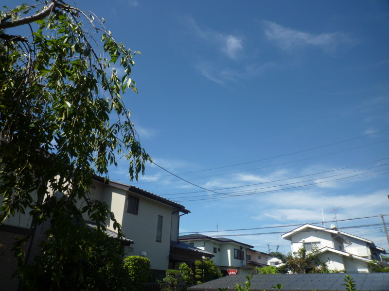 f:id:sasameyuki47:20130901090755j:image:w360 f:id:sasameyuki47:20130901090755j:image:w360