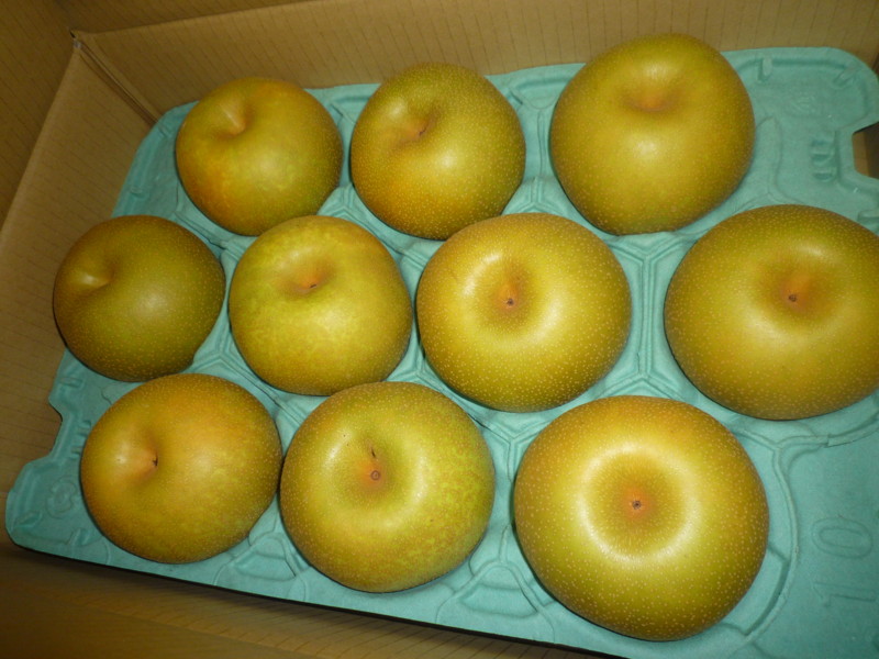 f:id:sasameyuki47:20130901091501j:image:w360 f:id:sasameyuki47:20130901091501j:image:w360