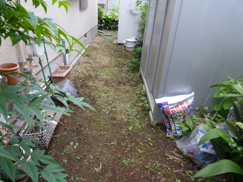 f:id:sasameyuki47:20130908145007j:image:w360 f:id:sasameyuki47:20130908145007j:image:w360