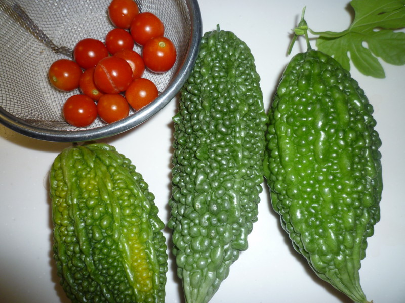 f:id:sasameyuki47:20130910160741j:image:w360 f:id:sasameyuki47:20130910160741j:image:w360