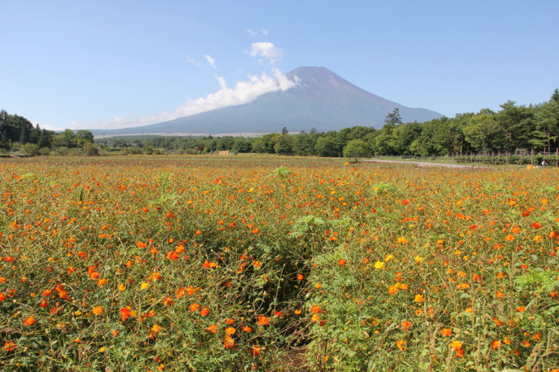 f:id:sasameyuki47:20130912092046j:image:w360 f:id:sasameyuki47:20130912092046j:image:w360