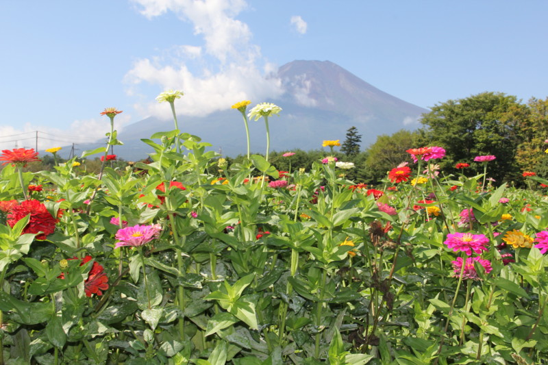 f:id:sasameyuki47:20130912093203j:image:w640 f:id:sasameyuki47:20130912093203j:image:w640