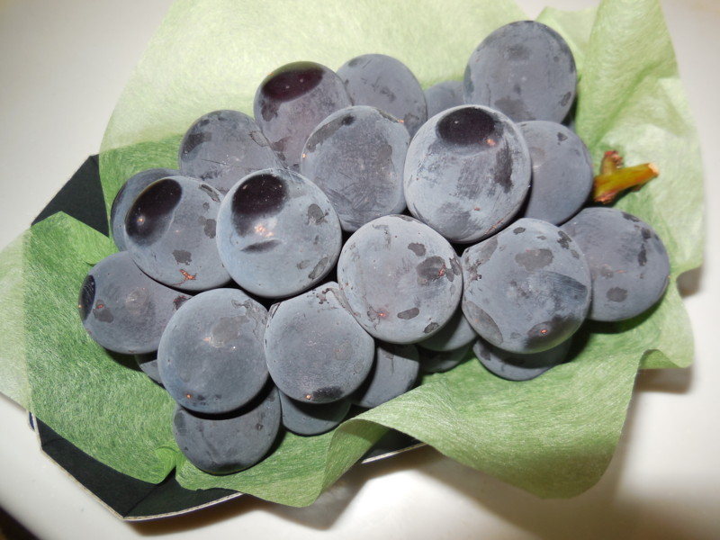 f:id:sasameyuki47:20130921123626j:image:w360