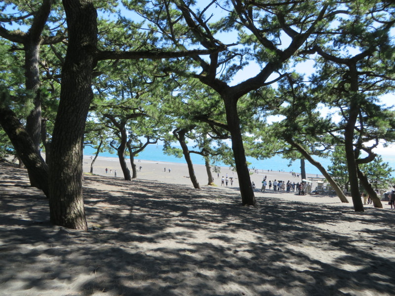 f:id:sasameyuki47:20130927230713j:image:w360