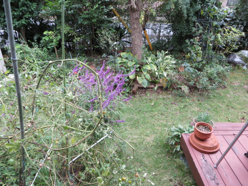 f:id:sasameyuki47:20131022113903j:image:w360