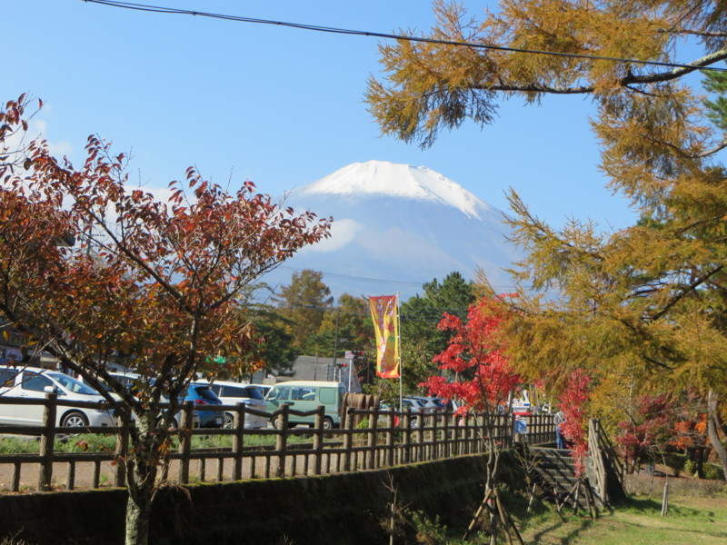f:id:sasameyuki47:20131105100530j:image:w360 f:id:sasameyuki47:20131105100530j:image:w360