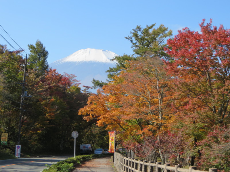 f:id:sasameyuki47:20131105103719j:image:w640 f:id:sasameyuki47:20131105103719j:image:w640