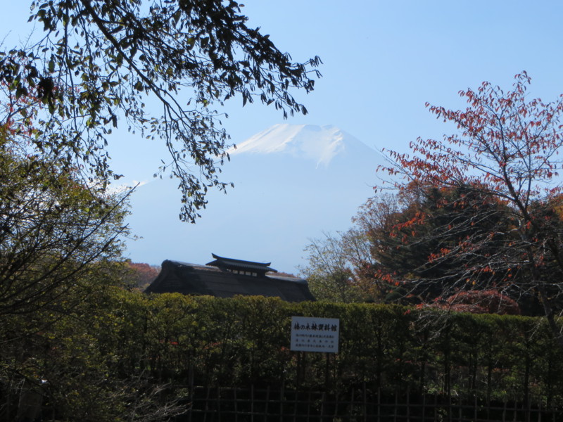 f:id:sasameyuki47:20131105122637j:image:w360 f:id:sasameyuki47:20131105122637j:image:w360