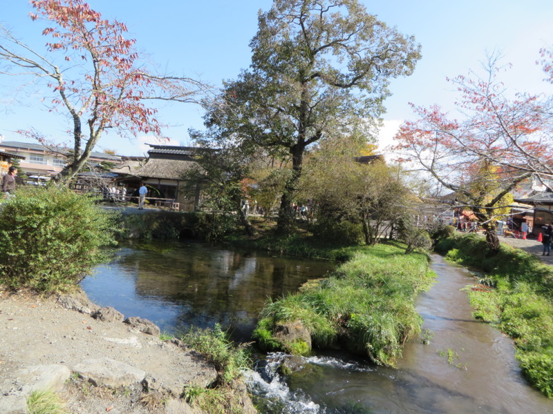 f:id:sasameyuki47:20131105122816j:image:w360 f:id:sasameyuki47:20131105122816j:image:w360