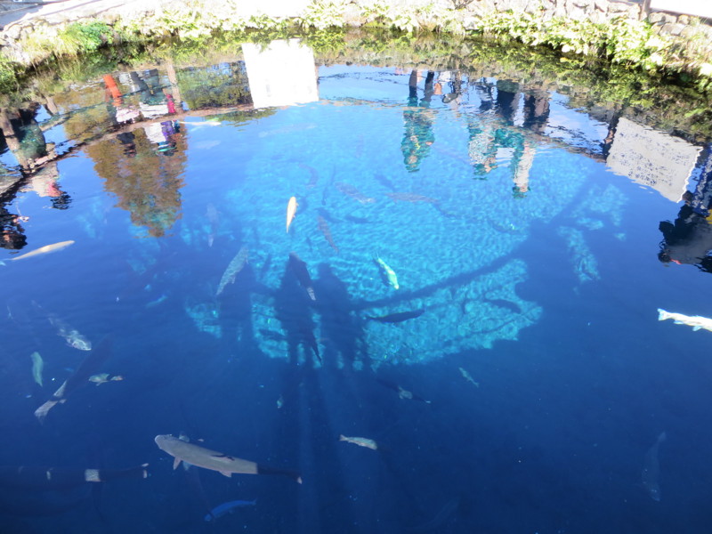 f:id:sasameyuki47:20131105123735j:image:w360 f:id:sasameyuki47:20131105123735j:image:w360