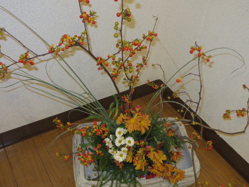 f:id:sasameyuki47:20131110113814j:image:w360