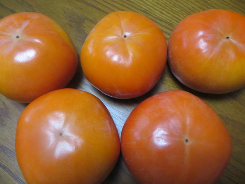f:id:sasameyuki47:20131115144601j:image:w360 f:id:sasameyuki47:20131115144601j:image:w360