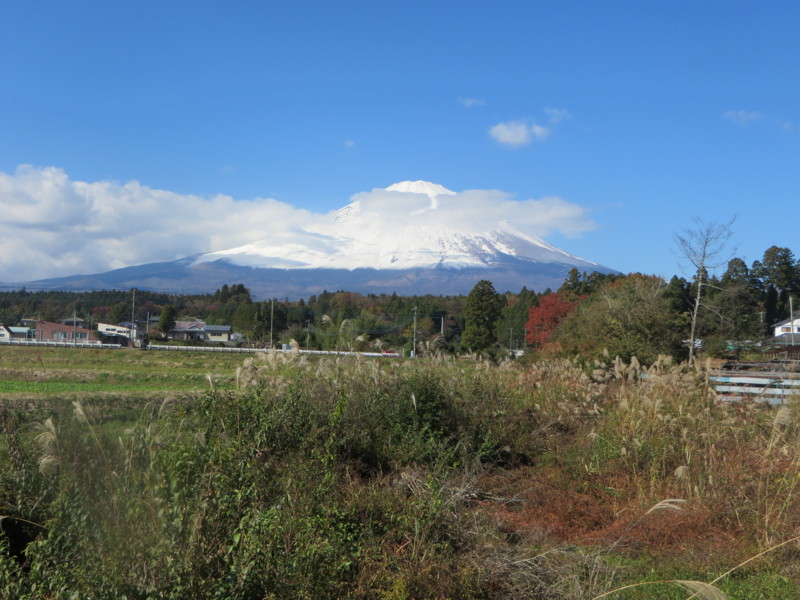 f:id:sasameyuki47:20131116102332j:image:w640 f:id:sasameyuki47:20131116102332j:image:w640
