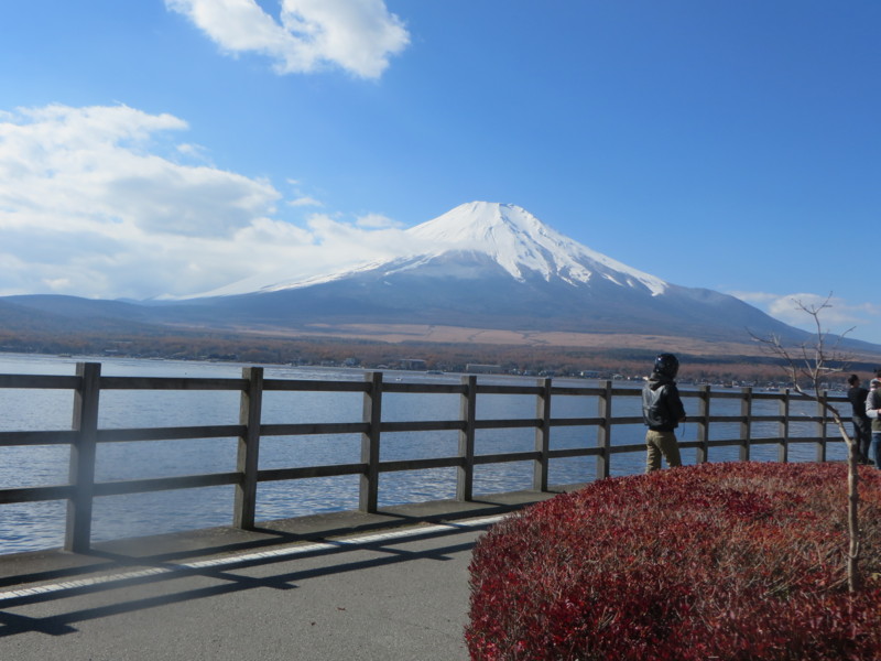 f:id:sasameyuki47:20131116111245j:image:w360 f:id:sasameyuki47:20131116111245j:image:w360