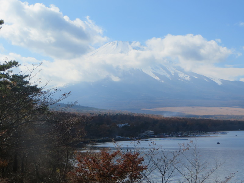 f:id:sasameyuki47:20131116124846j:image:w360 f:id:sasameyuki47:20131116124846j:image:w360