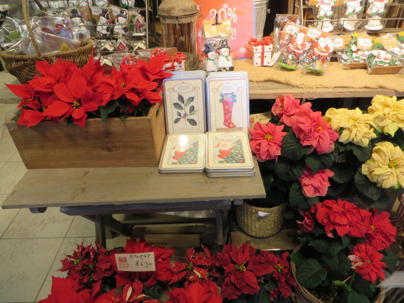 f:id:sasameyuki47:20131210140824j:image:w360