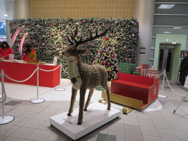 f:id:sasameyuki47:20131220132058j:image:w360